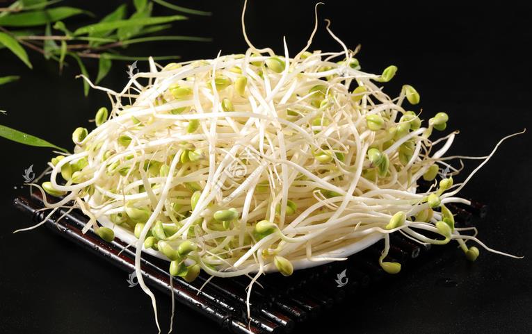 無公害綠色豆芽，怎么生產出來的？全套生產過程如此方便智能